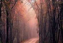 体坛名场面丨这球也能算进？塔图姆脚后跟助攻自己上篮命中！.