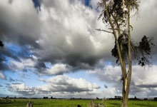 [德甲]第29轮：莱比锡3-0沃尔夫斯堡 集锦.