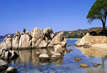 锁定四强!辽宁男篮26分大胜山东,赵继伟12+12鄢手骐三分球3中3.